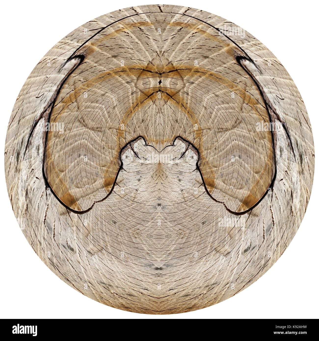 Tronc de l'arbre de coupe - Bois de texture bizarre - anneaux - modifié numériquement Banque D'Images