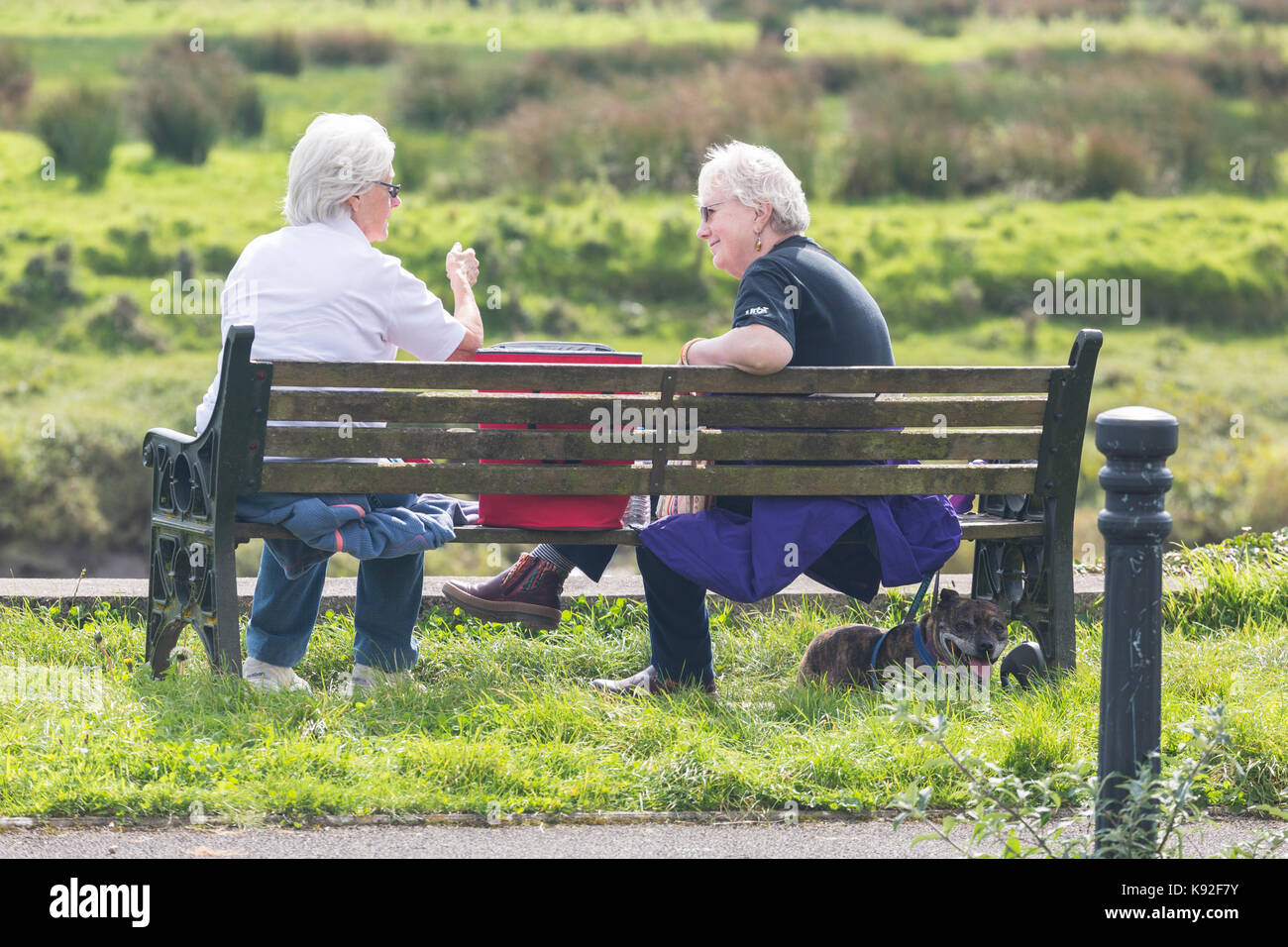 Deux hauts mesdames prenez une pause et arrêt pour un chat sur un banc de parc Banque D'Images