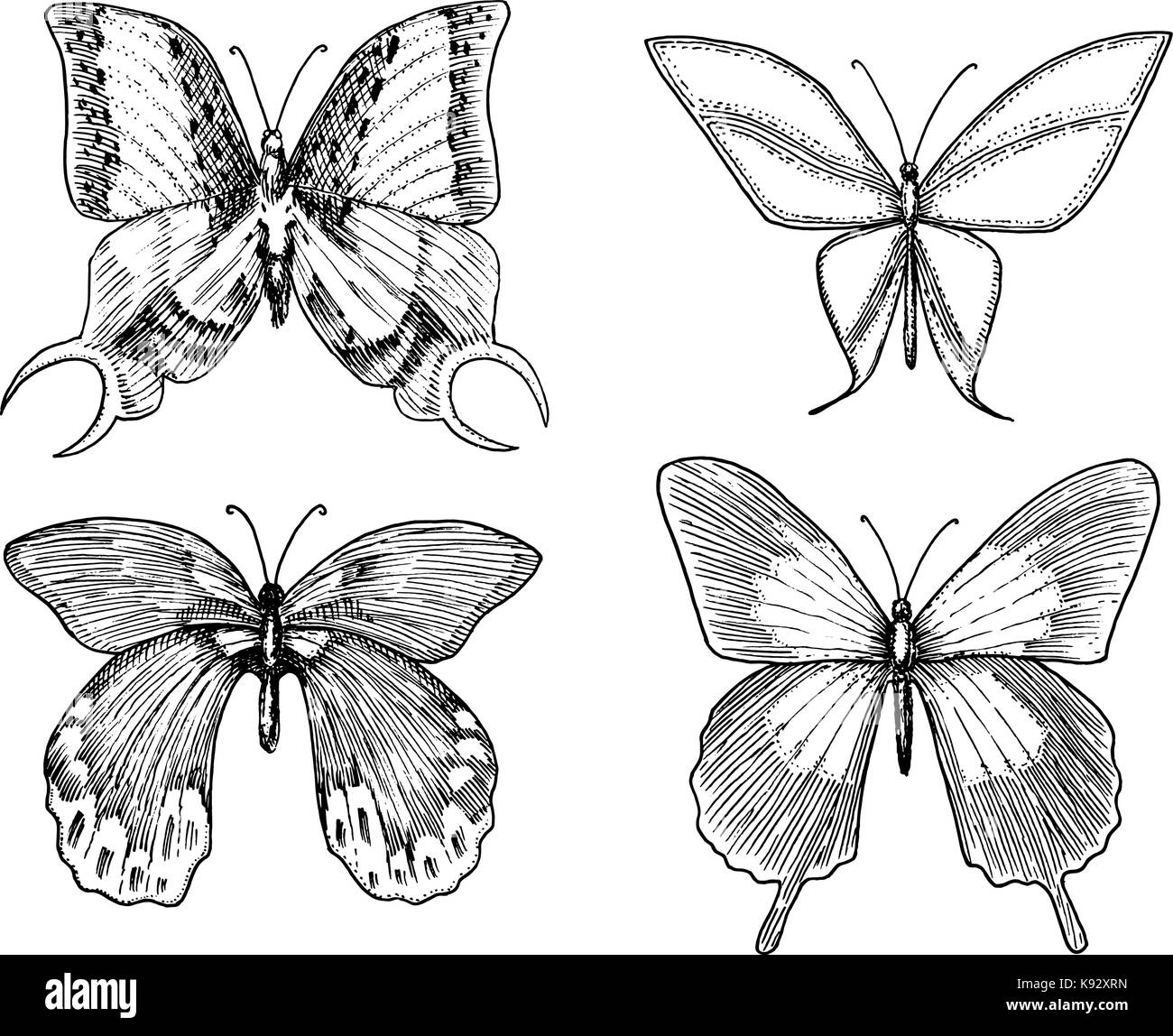 Tatouage ou boho t-shirt ou scrapbooking. conception ésotérique mystique symbole de liberté et de voyage. papillon ou un croquis de l'insecte. collecte entomologique. gravés à la main dans le vieux style vintage et croquis Illustration de Vecteur