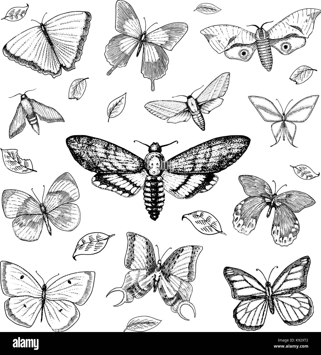 Tatouage ou boho t-shirt ou scrapbooking. conception ésotérique mystique symbole de liberté et de voyage. papillon ou un croquis de l'insecte. collecte entomologique. gravés à la main dans le vieux style vintage et croquis Illustration de Vecteur