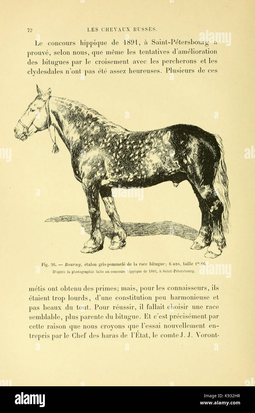 Une page de 'les races chevalines', un ouvrage sur les races de chevaux. La page 72 se concentre spécifiquement sur diverses races de chevaux, leurs caractéristiques et leurs rôles dans différentes cultures et régions. Banque D'Images
