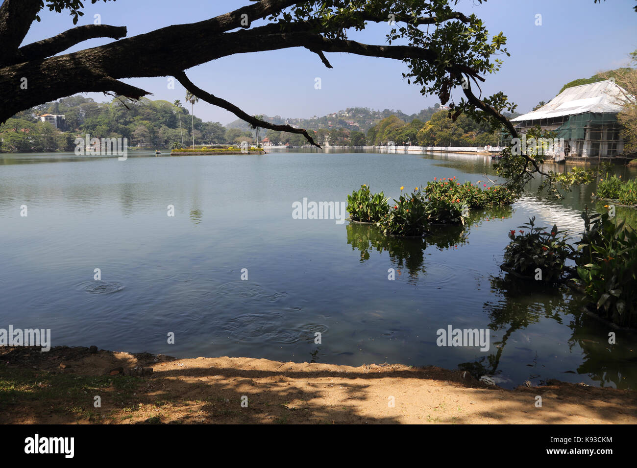 Le lac de Kandy Kandy au Sri Lanka Kiri Muhuda et Biso Ulpen Ge (Queen's Bath) en vertu de l'échafaudage Banque D'Images