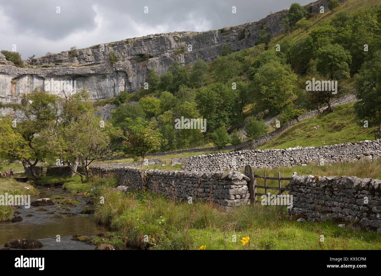Malham beck à malham Cove, dans le Yorkshire Dales national park, England. Banque D'Images