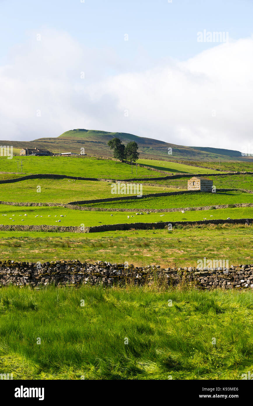 La vue sur Gayle et Dodd est tombé de Bainbridge dans le Parc National des Yorkshire Dales Yorkshire Angleterre Royaume-Uni UK Banque D'Images