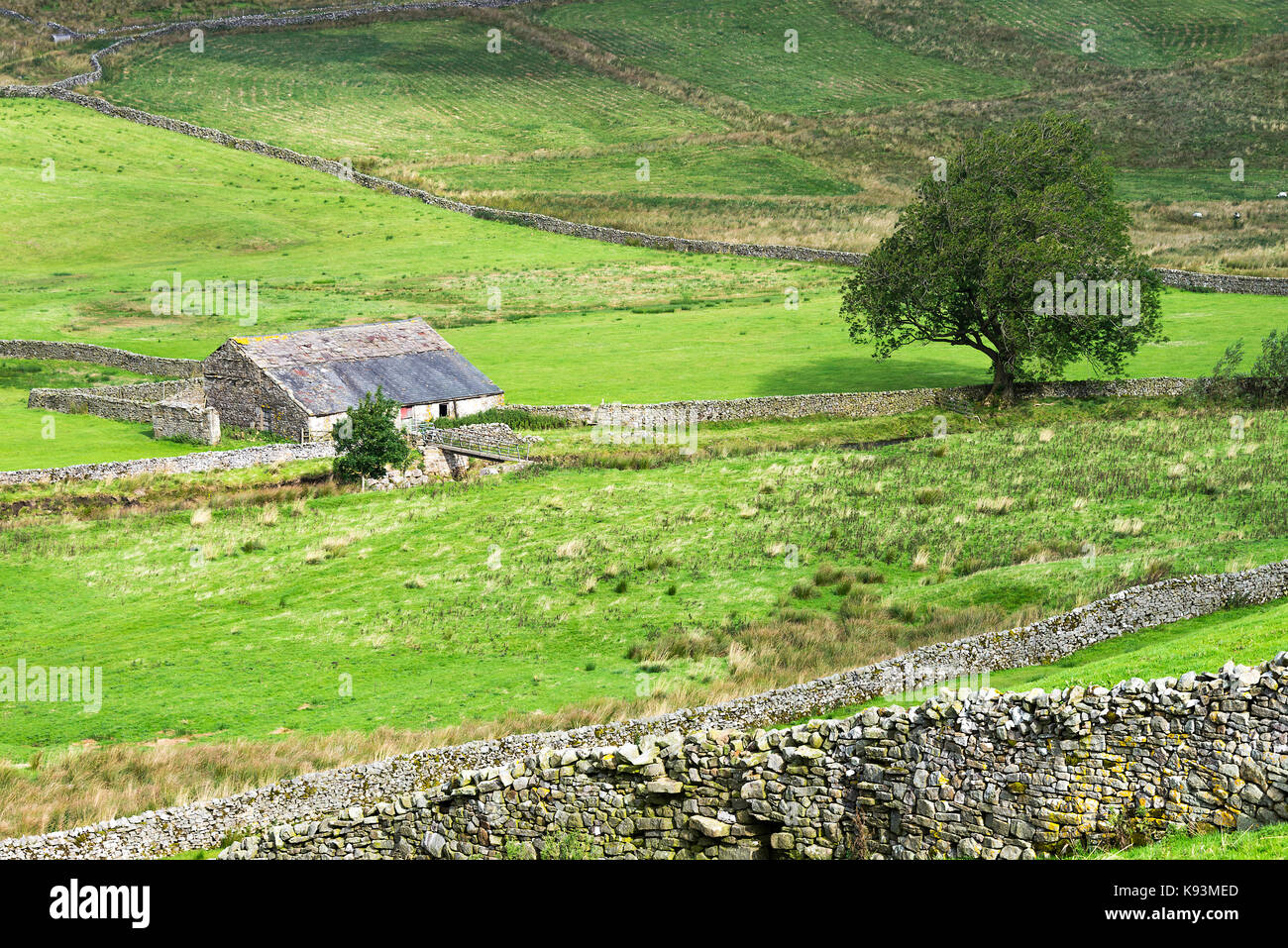 Yorkshire Dales typique des terres agricoles et grange en pierre calcaire avec des murs de pierres sèches au-dessus de champs de marquage Gayle près de Hawes Yorkshire Angleterre Royaume-Uni Banque D'Images
