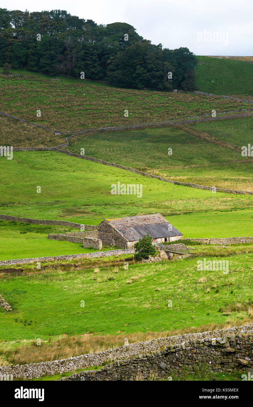 Yorkshire Dales typique des terres agricoles et grange en pierre calcaire avec des murs de pierres sèches au-dessus de champs de marquage Gayle près de Hawes Yorkshire Angleterre Royaume-Uni Banque D'Images