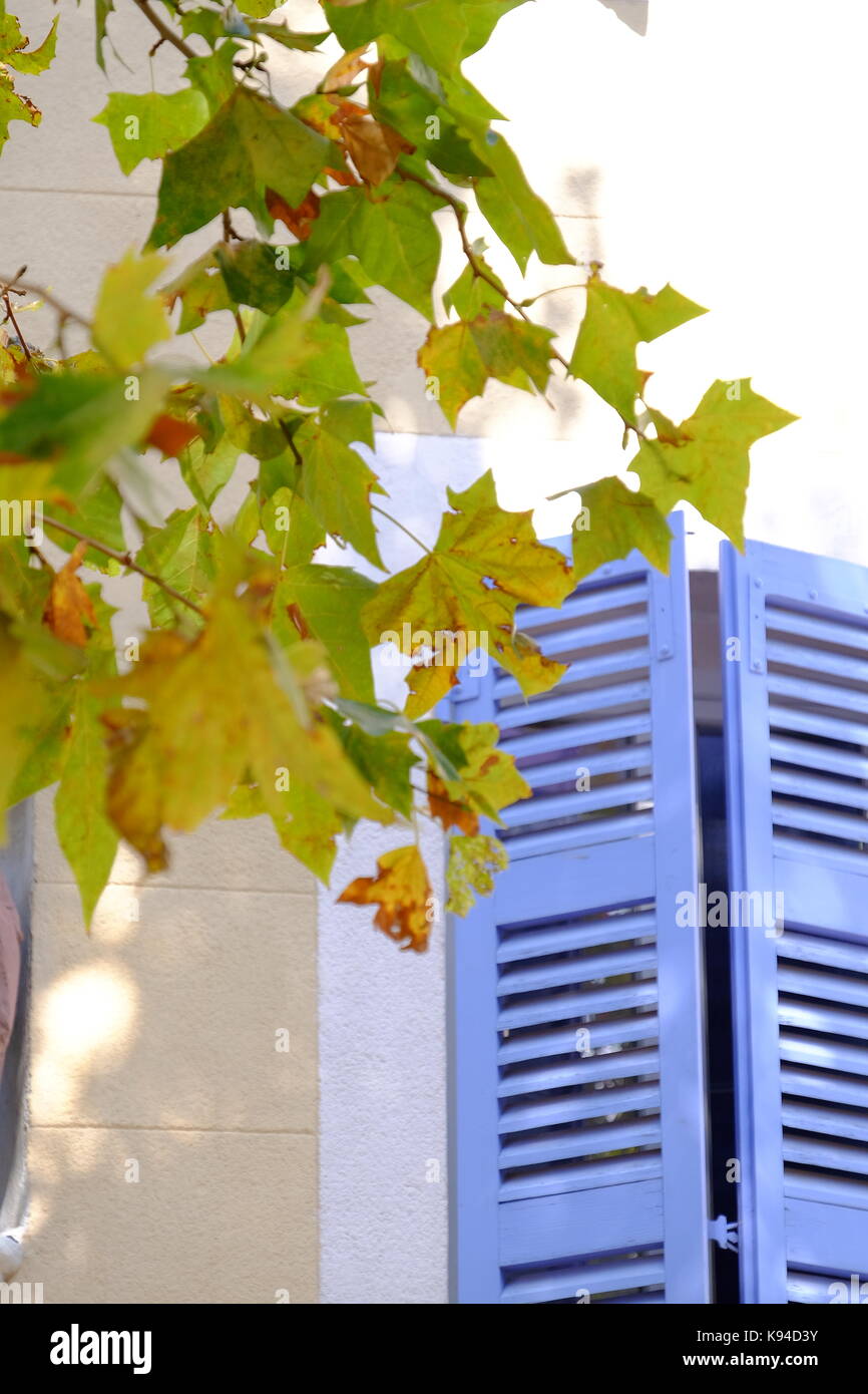 La lumière du soleil pommelé, de feuilles, de volets aux fenêtres, Marseille, Provence, France Banque D'Images
