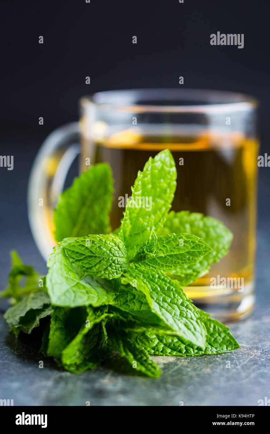 Thé à la menthe délicieux. Les feuilles de menthe et tasse de thé. Banque D'Images