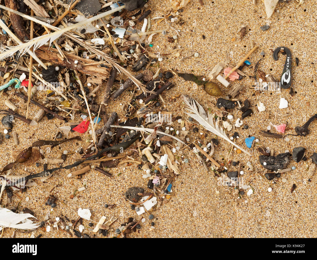 Plages et Piscines roche polluée par des déchets de plastique micro lavés dans de la marée. 21, septembre, 2017 Robert Taylor/Alamy live news, Newquay. Banque D'Images