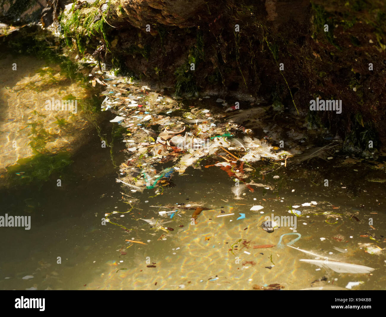 Plages et Piscines roche polluée par des déchets de plastique micro lavés dans de la marée. 21, septembre, 2017 Robert Taylor/Alamy live news, Newquay. Banque D'Images