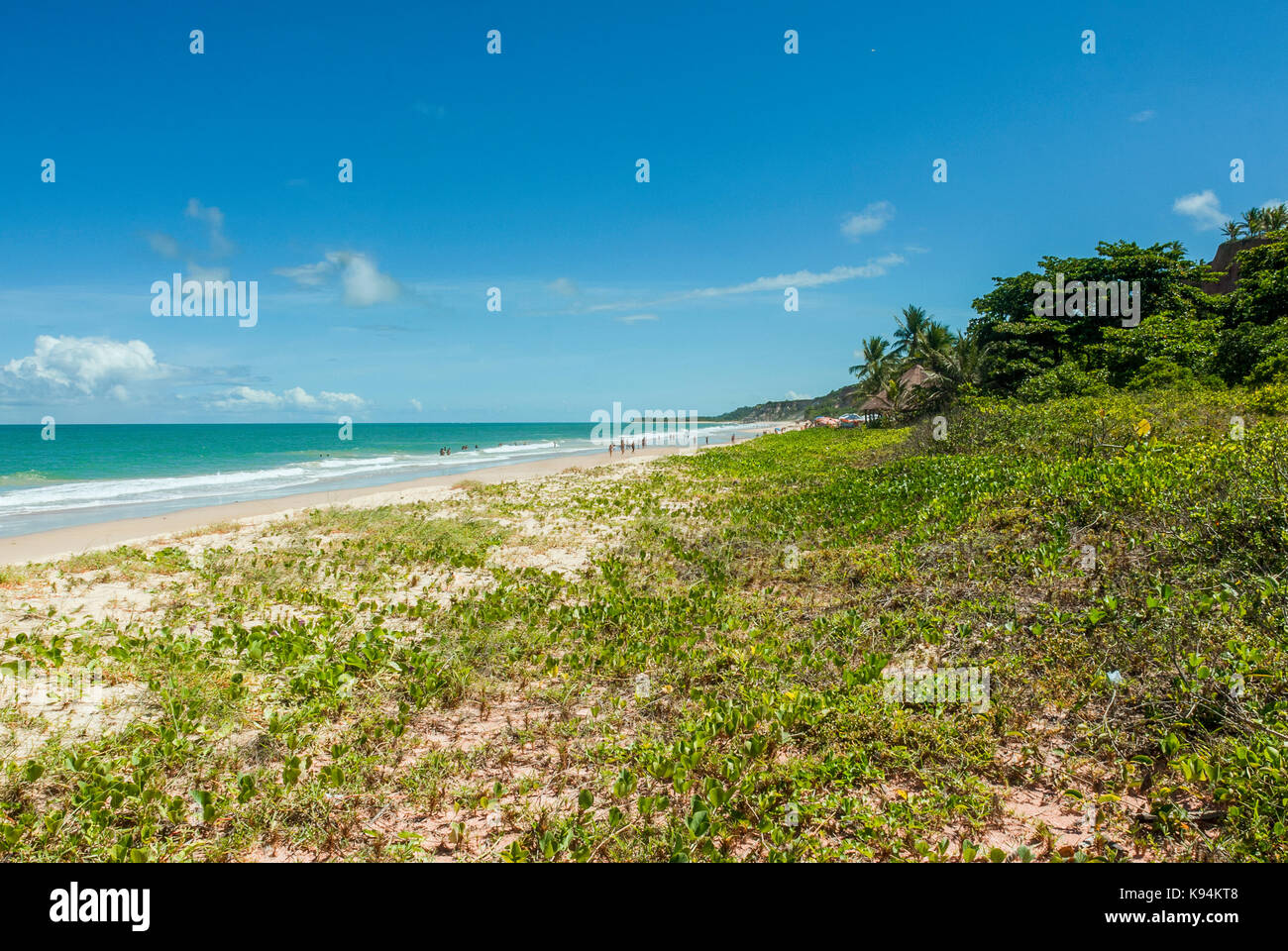 Plage de Taipe, Arraial d'ajuda, Porto Seguro, Bahia, Brésil Banque D'Images