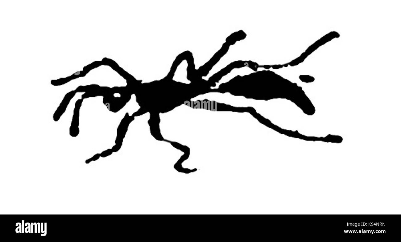 Ant Lear Banque D'Images