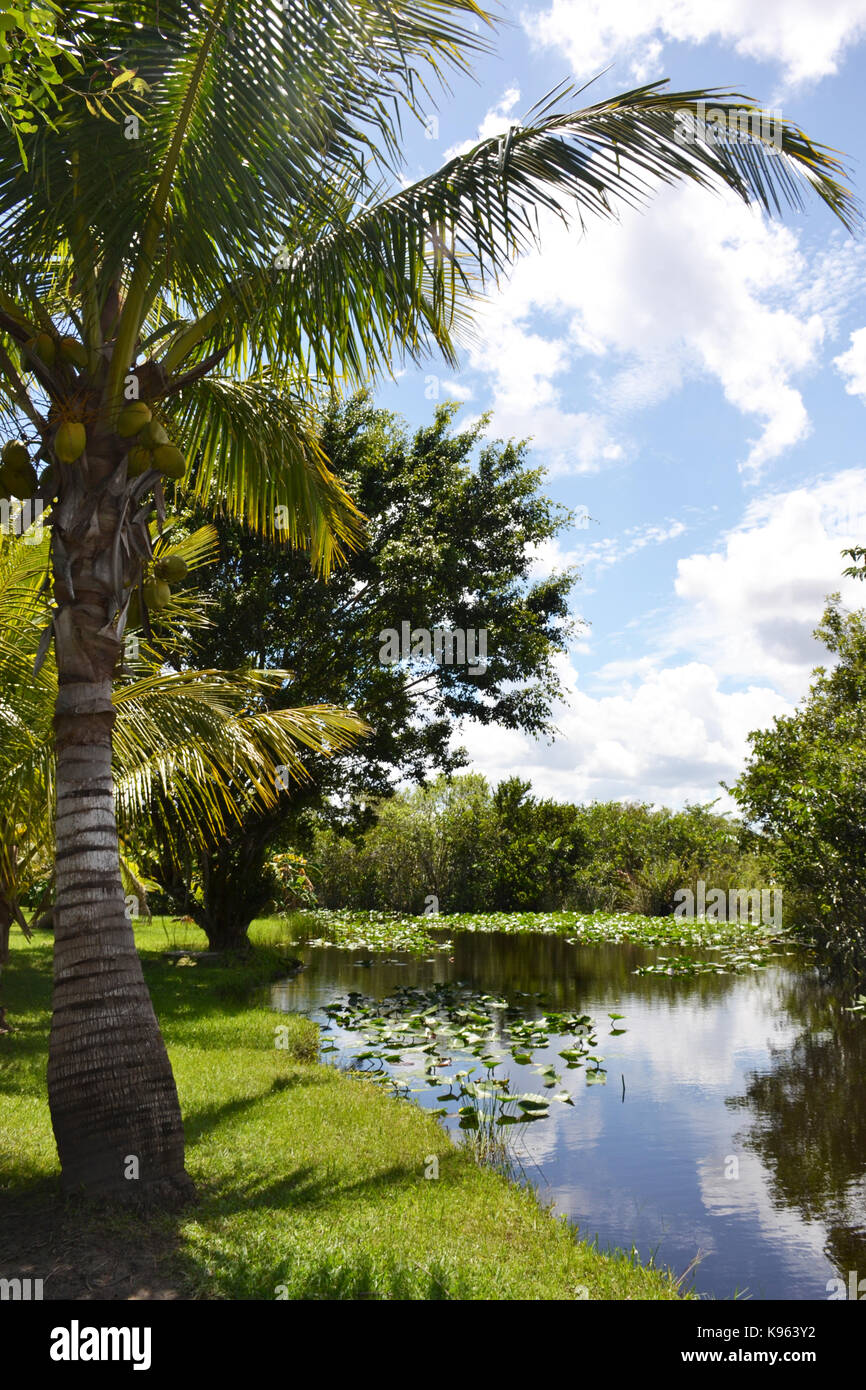 Paysage tropical Banque D'Images Paysage tropical Banque D'Images