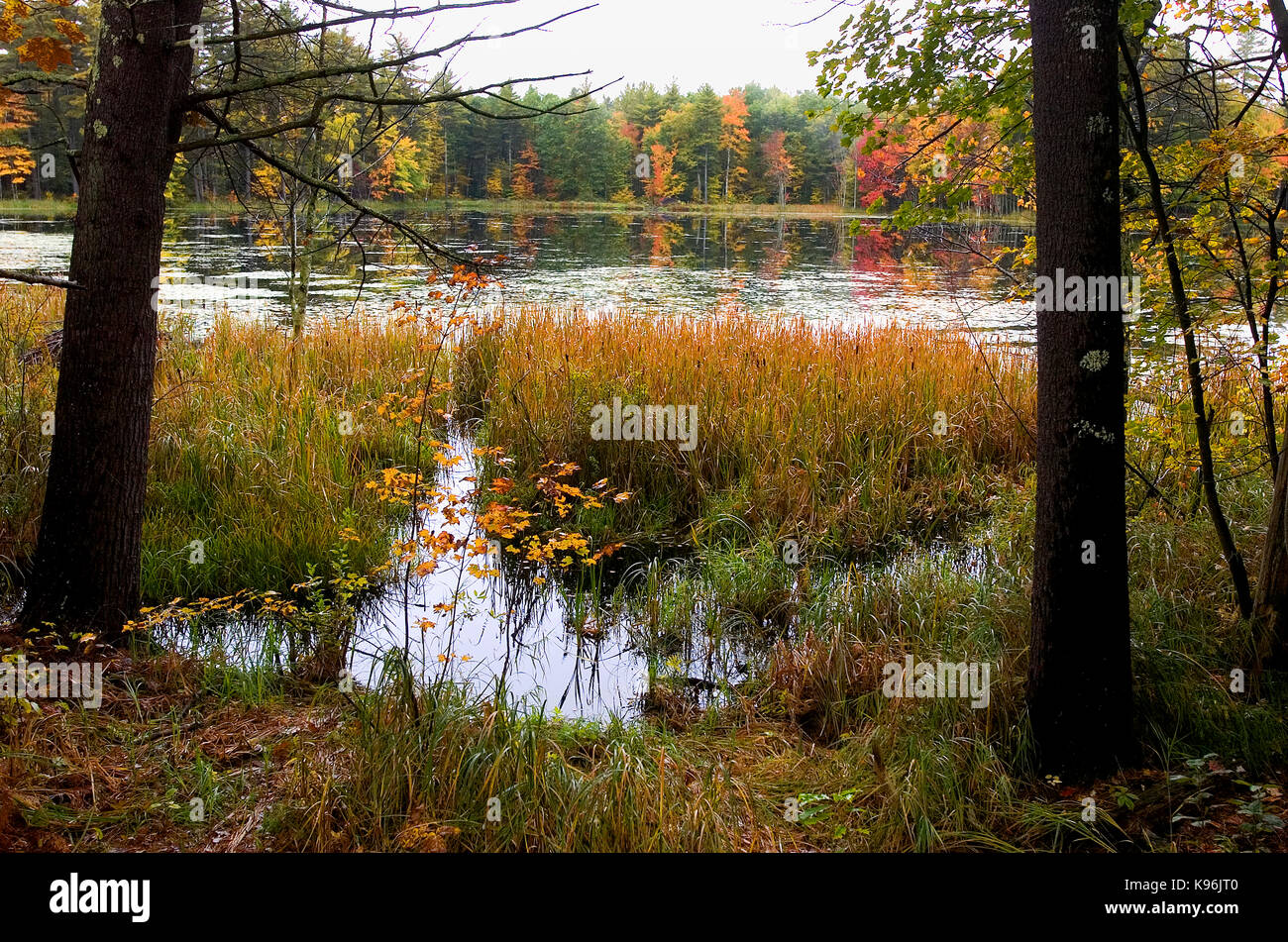 Kimbal's Pond - près de Concord, New Hampshire Banque D'Images