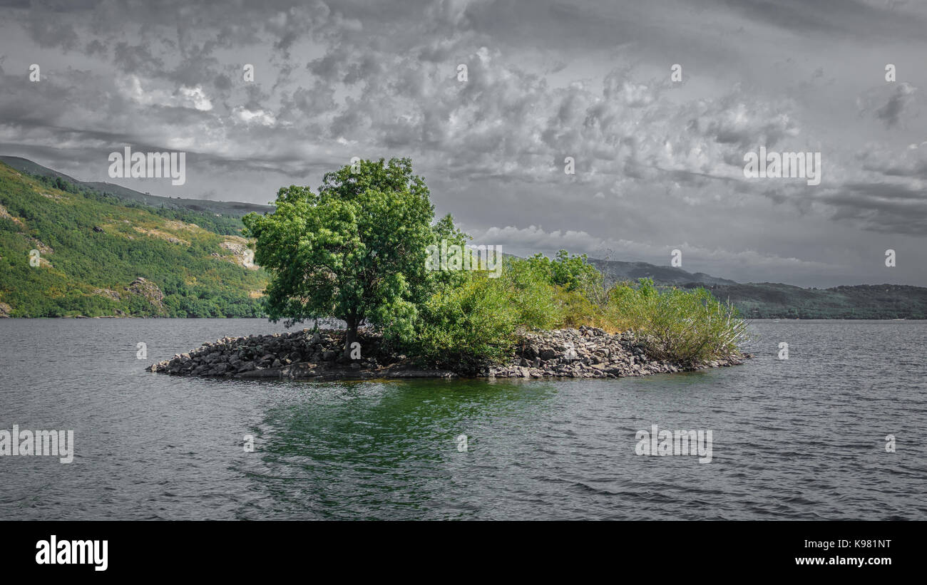 Petite île avec l'arbre au milieu du lac de sanabria Banque D'Images