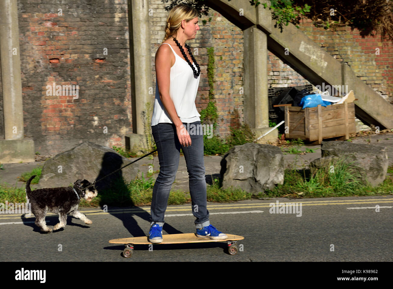 Femme sur planche en tenant chien Banque D'Images
