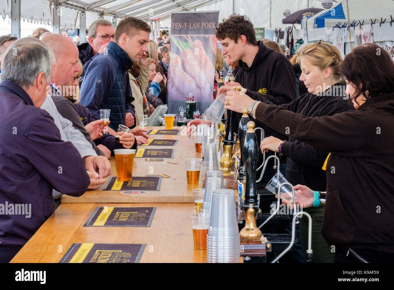 Tirant pintes de bière dans le chapiteau au 2017 Ludlow Food Festival, Ludlow Castle, Ludlow, Shropshire, Angleterre Banque D'Images