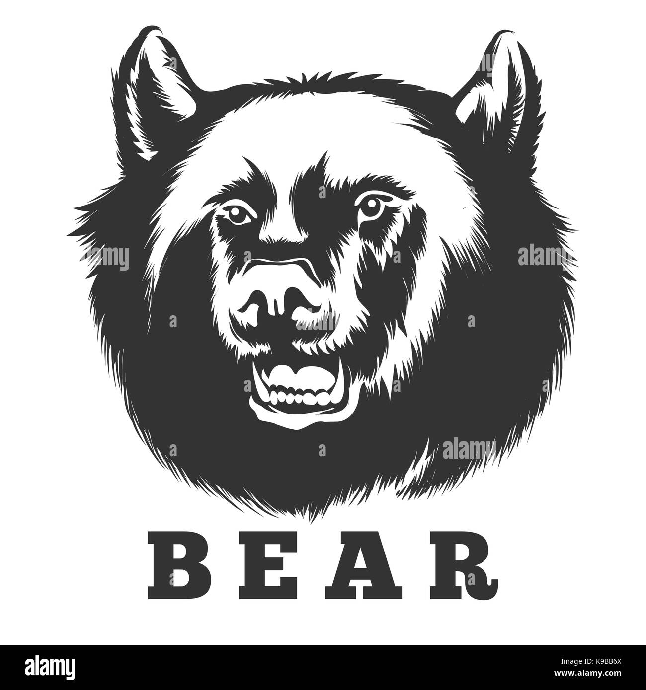 Rugissant dessiné à la main. L'ours ours en colère sauvage head vector illustration. Illustration de Vecteur