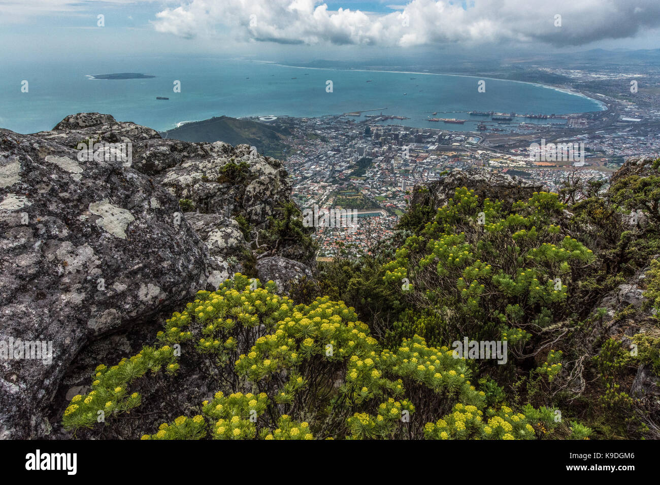 Vue de la ville du Cap à partir de la Table Mountain, Afrique du Sud Banque D'Images