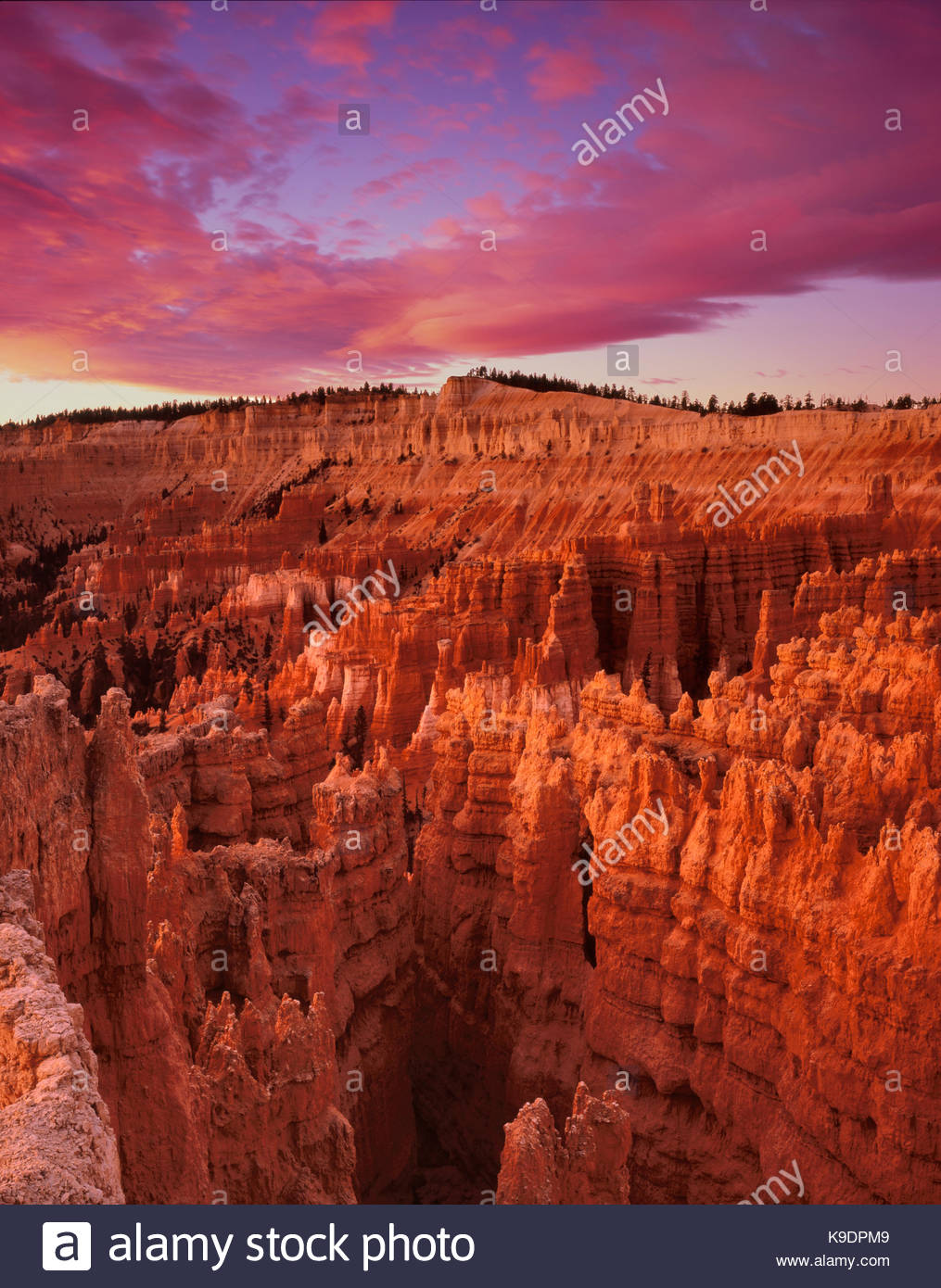 Laube Au Coucher Du Soleil Parc National De Bryce Canyon