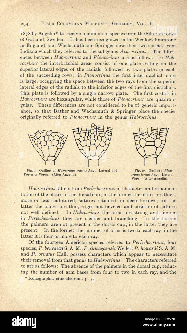 Nouveau crinoïdes de la région de Chicago (page 294) BHL2821870 Banque D'Images