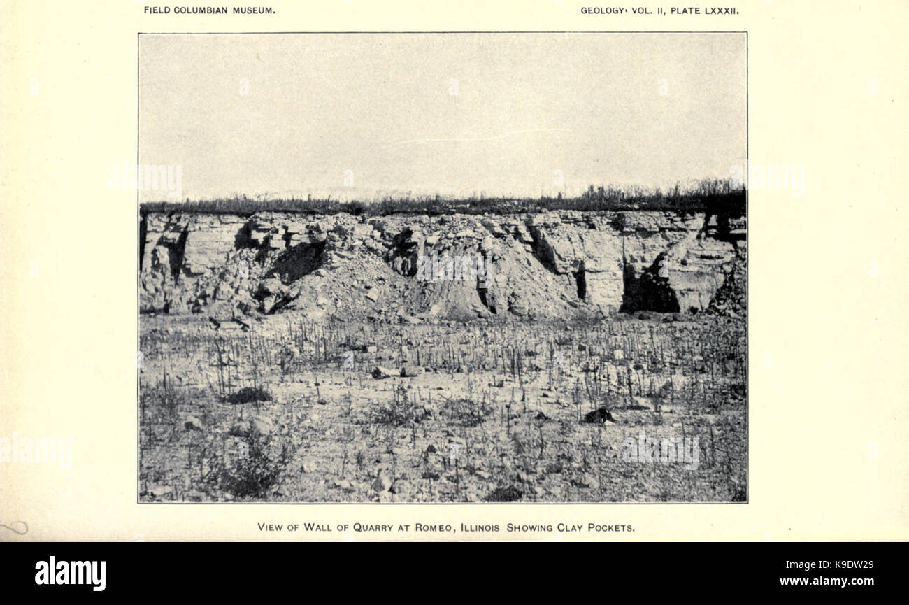 Nouveau crinoïdes de la région de Chicago (page 307) BHL2821883 Banque D'Images