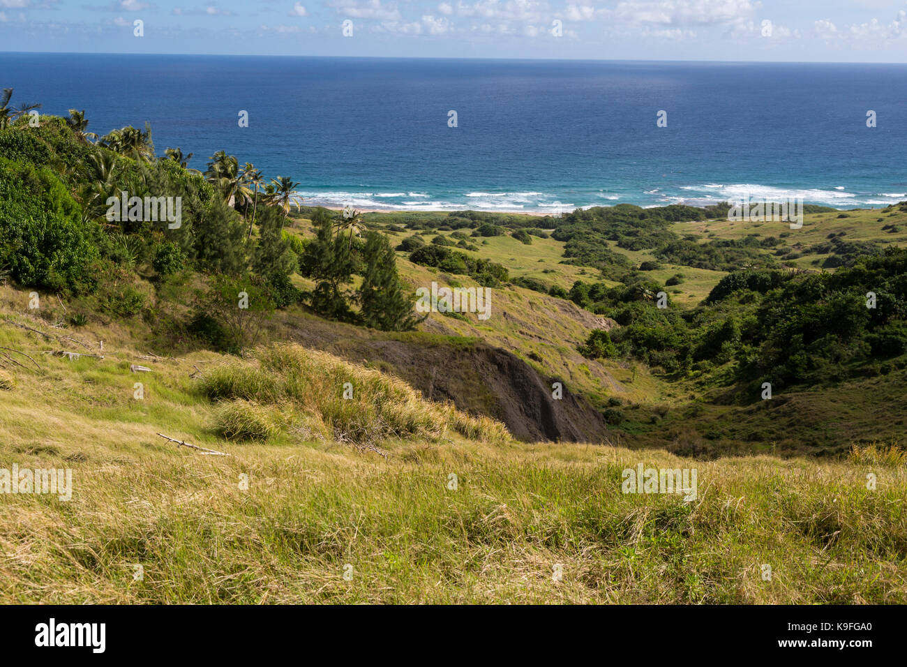 La Barbade. Vue sur l'océan Atlantique à partir de 'Scotland' Région de l'île. Banque D'Images