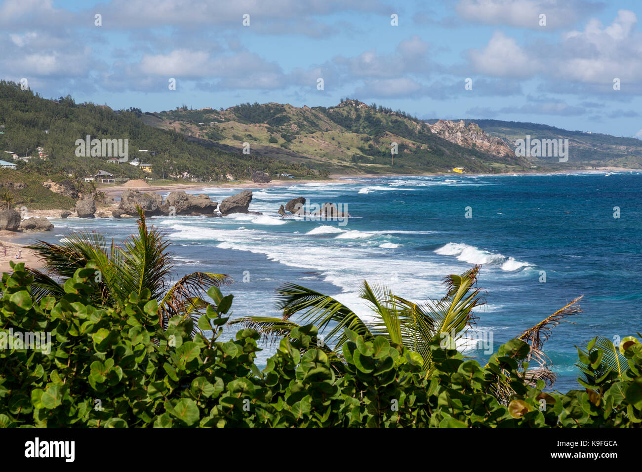 La Barbade. Vue sur l'océan Atlantique à partir de Bethsabée. Banque D'Images