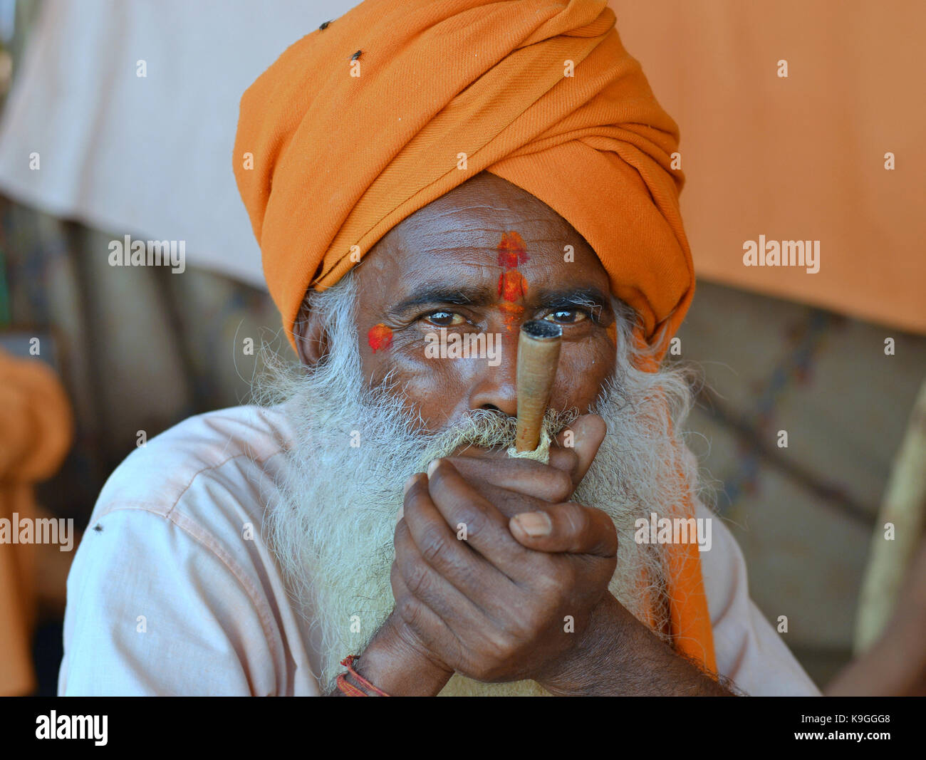 Vieux sadhu avec turban orange, épaisse barbe blanche et deux marques tilaka rouge sur son front (un au-dessus de l'autre), fumer du haschisch dans une pipe chillum Banque D'Images