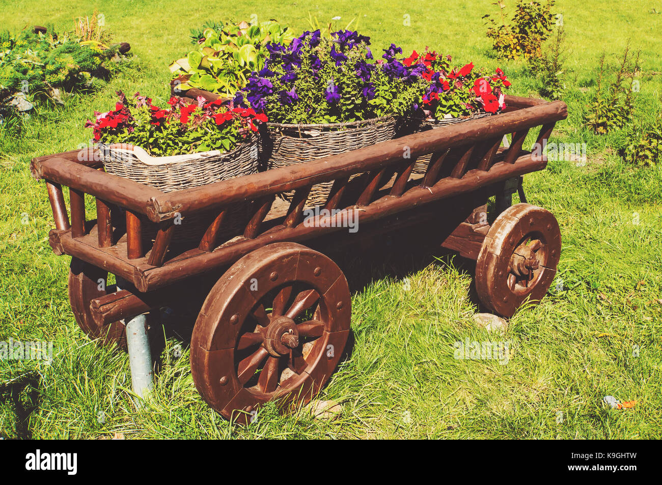 Panier en bois sur l'herbe verte avec des fleurs de différentes couleurs. les cours dans les villes de Russie Banque D'Images