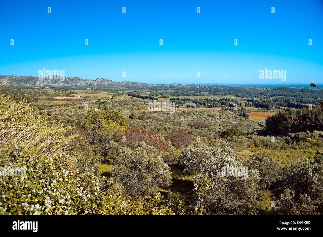 Vue de paysage de Provence dans le sud de la France, près de 'Baux de Provence' village Banque D'Images