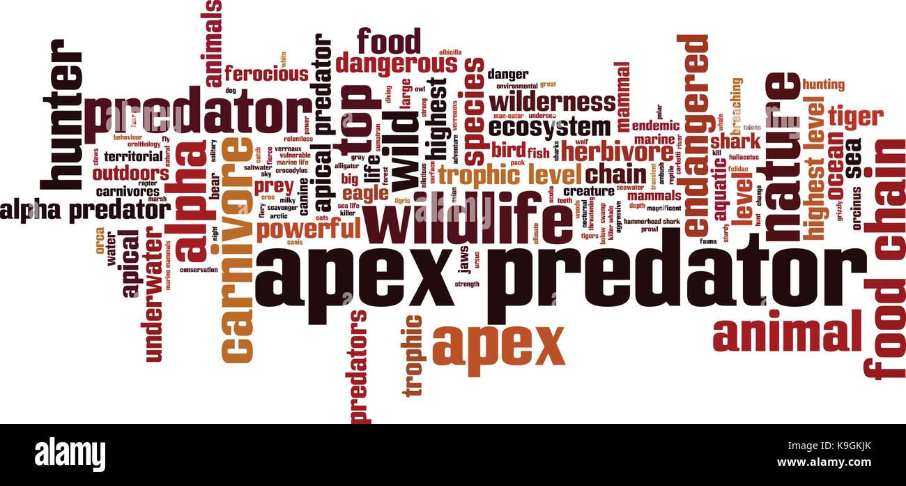 Apex predator mot concept cloud. vector illustration Illustration de Vecteur