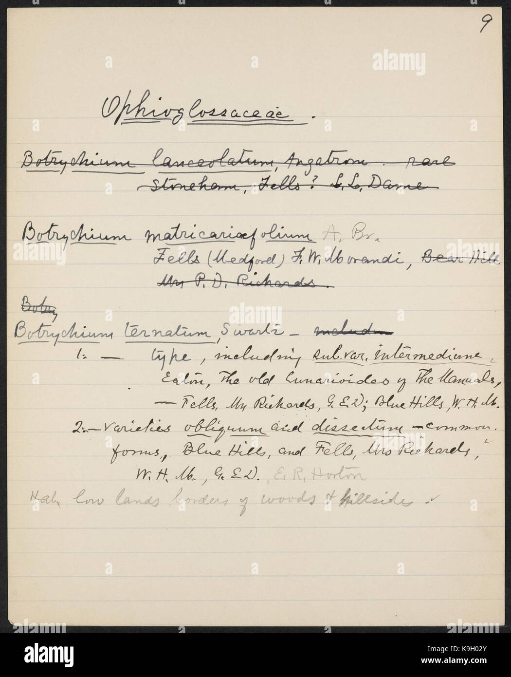 Liste préliminaire des cryptogames vasculaires (Ptéridophytes) qui se développe dans les limites de la Metropolitan Park réservations, ou qui y sont de plus en plus d'être connues à partir de données antérieures (page 9) BHL40300841 Banque D'Images