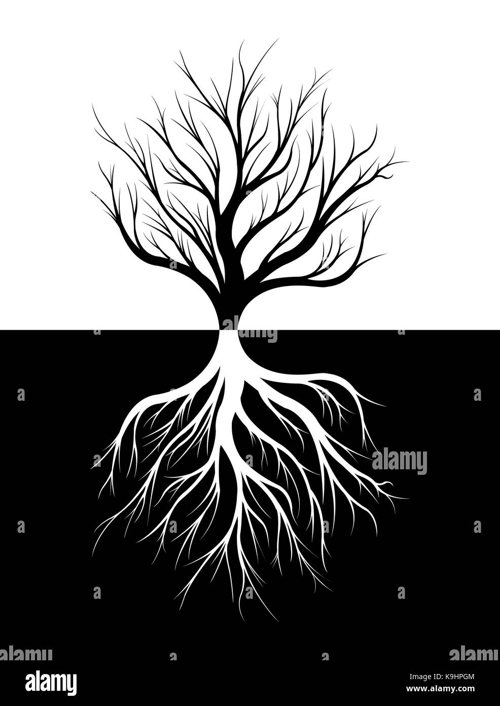 Silhouette d'un arbre et ses racines. noir et blanc illustration. Banque D'Images