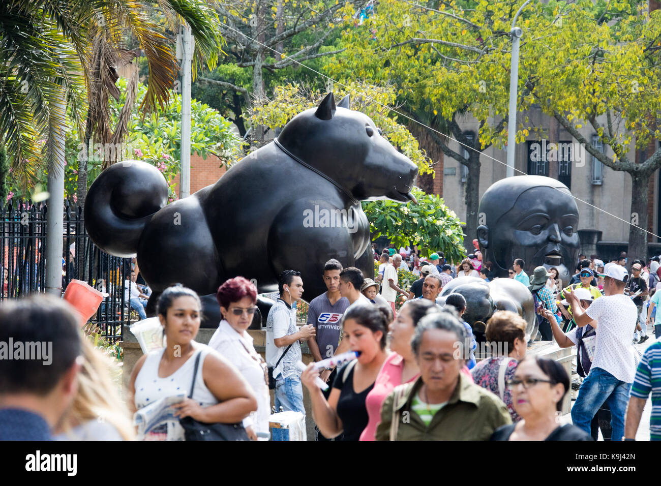 Perro sculpture, Botero Plaza, Medellin, Colombie Banque D'Images