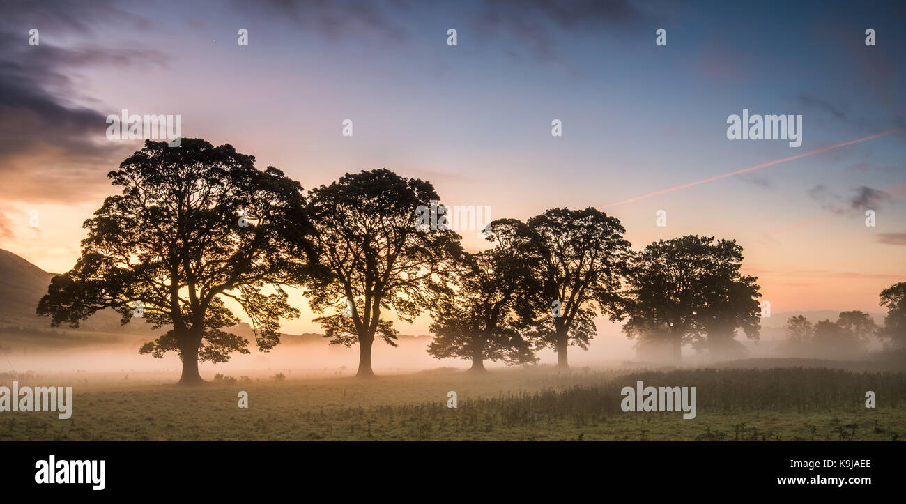 La première lumière sur un matin d'automne à clachan d'Aubange Ecosse Banque D'Images