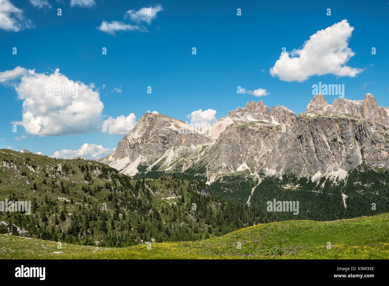 Les Dolomites, Italie du Nord. Pré alpin près du Cinque Torri Lagazuoi, regardant vers Banque D'Images