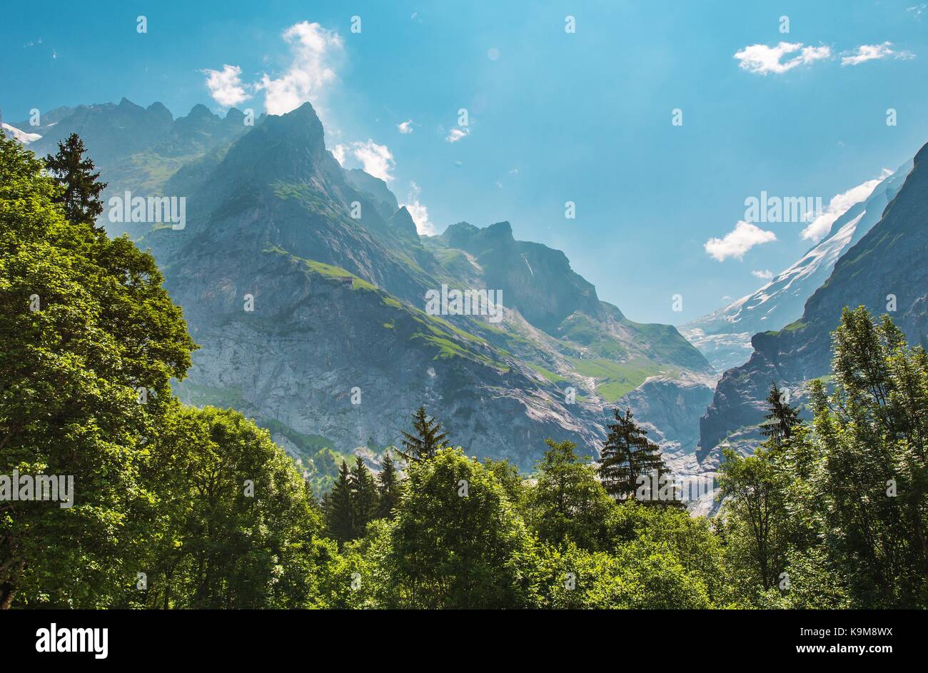 Paysage d'été alpin. wetterhorner massif en Suisse Région de Jungfrau. Banque D'Images
