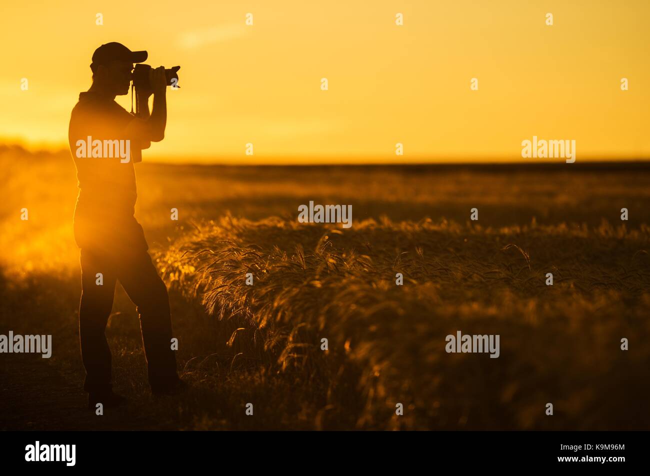 Le photographe et la nature. Les hommes dans la cinquantaine à prendre des photos de paysage de campagne pittoresque pendant la golden hour. Banque D'Images