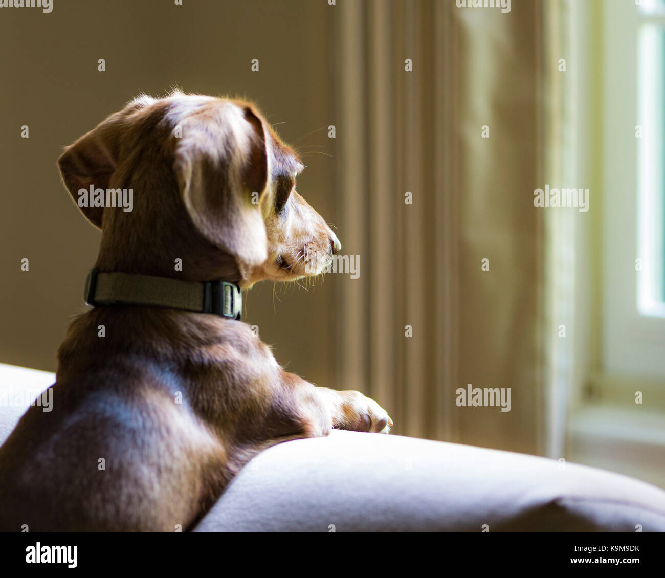 en attente Banque D'Images