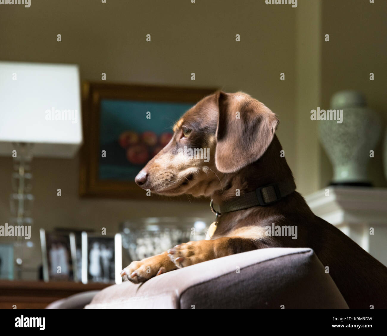 Je regarde Banque D'Images