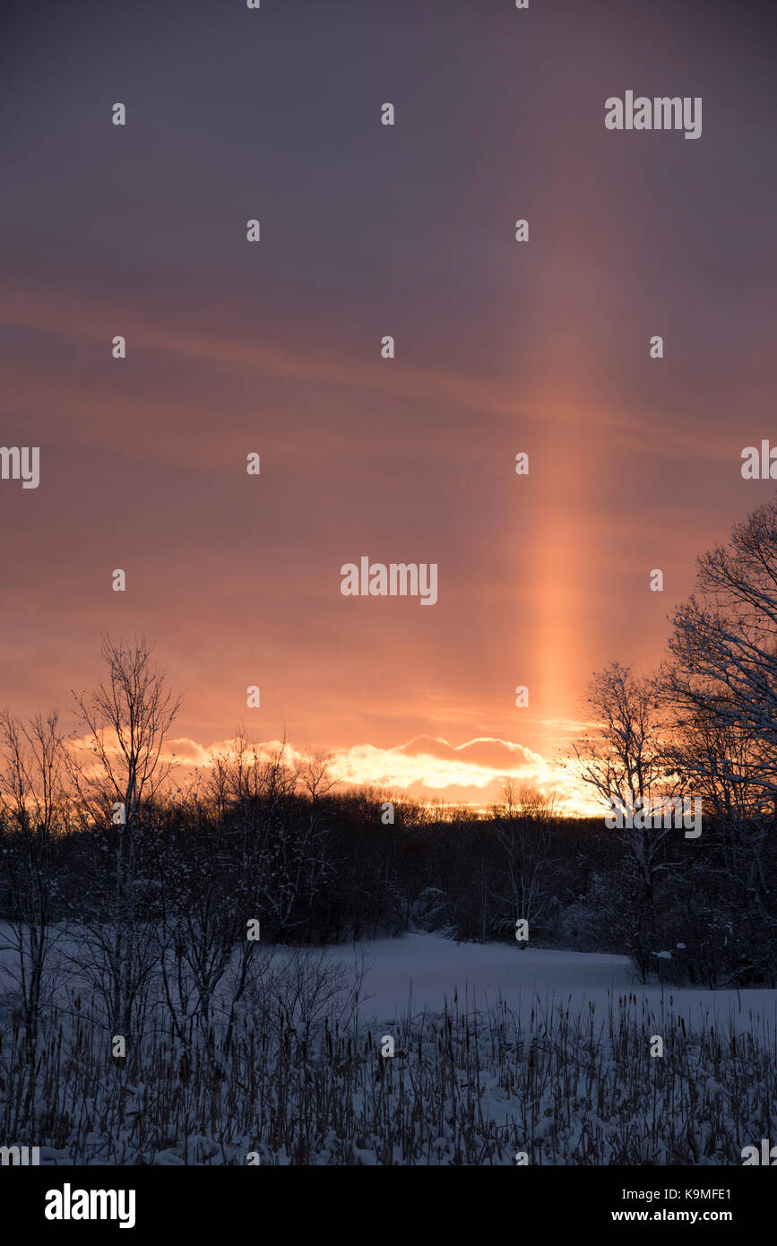 Prairie conservation rock à Belmont, ma au crépuscule Banque D'Images