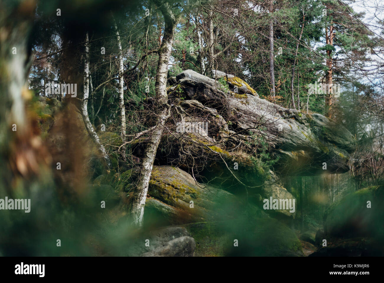 Tschechei, Elbsandsteingebirge, Tiske Tyssaer Wände, steny, Böhmische Schweiz, Felsen, Nationales Naturreservat Banque D'Images