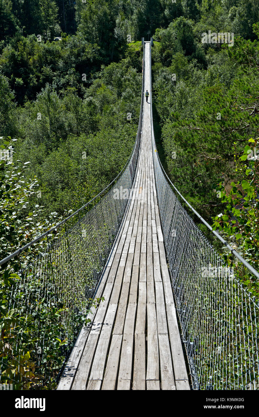 Bhoutanais traditionnel passerelle suspendue, le Bhoutan, l'Illgraben, pont au-dessus de la réserve naturelle de Finges, Genève, Valais, Suisse Banque D'Images