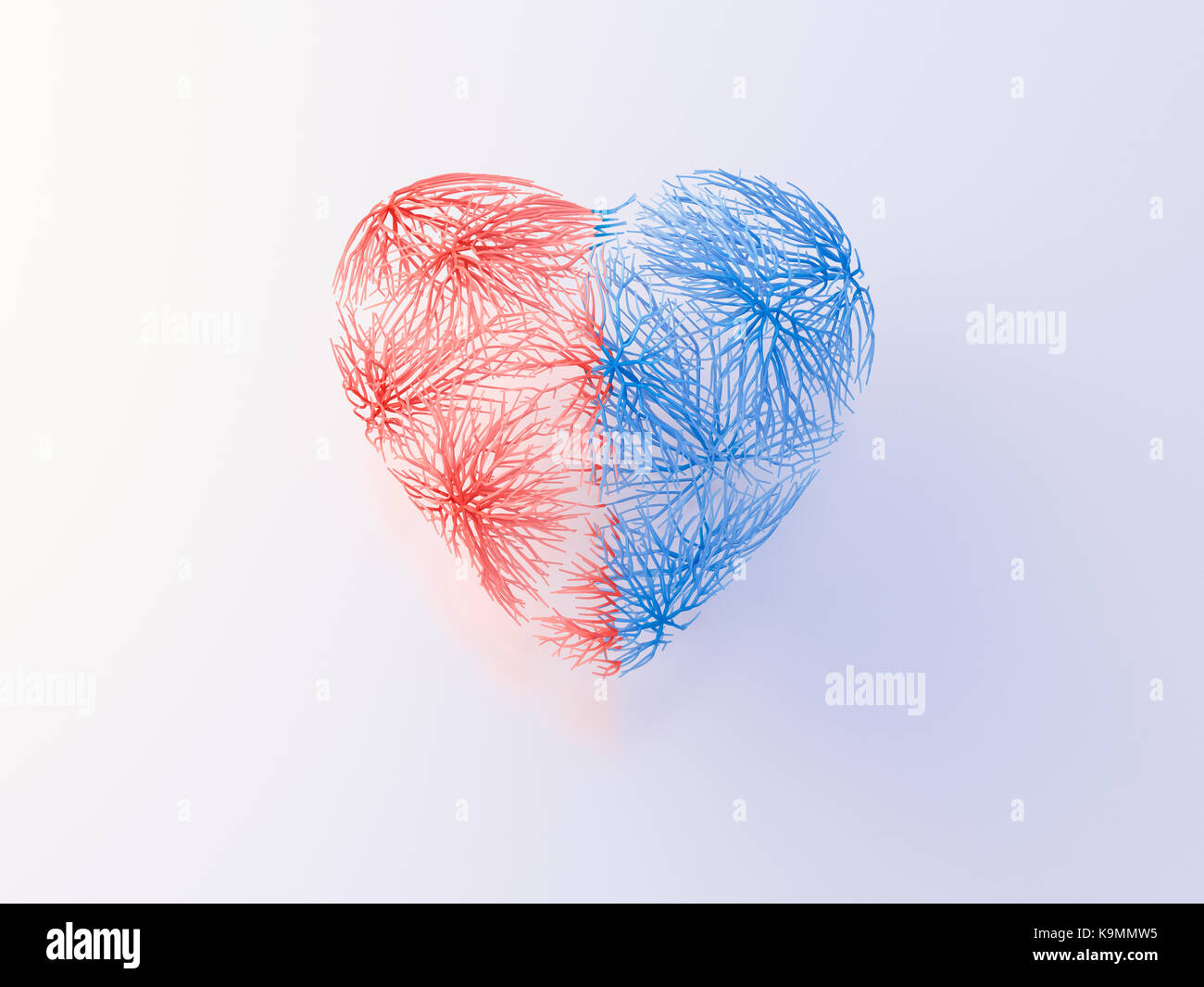 Coeur avec des veines rouges et bleues Banque D'Images