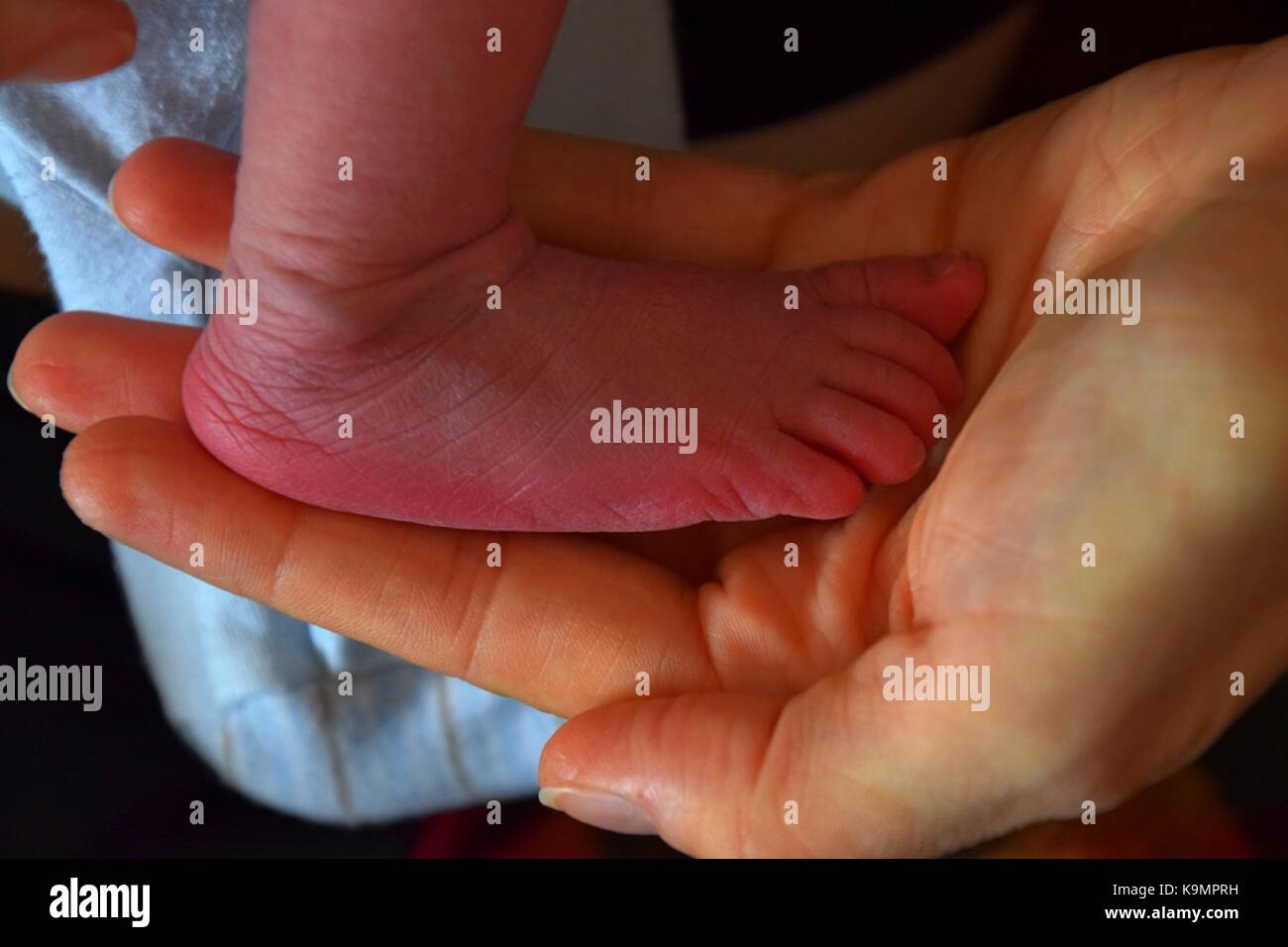 Nouveau Ne Bebe Garcon Nouveau Ne Bebe Nouveau Ne Petite Oreille Tete Et Pieds Photo Stock Alamy Nouveau Ne Bebe Garcon Nouveau Ne Bebe Nouveau Ne Petite Oreille Tete Et Pieds Photo Stock Alamy