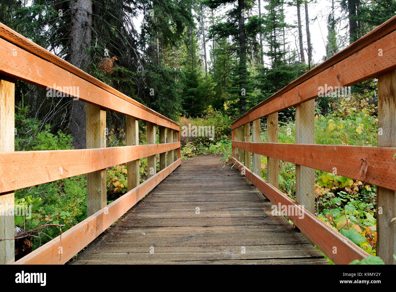 Pont pour piétons à grenat, MT Banque D'Images