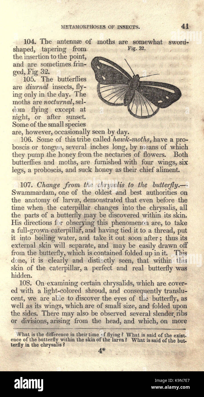 Contours de la physiologie, comparative et des droits (page 41) BHL20866741 Banque D'Images