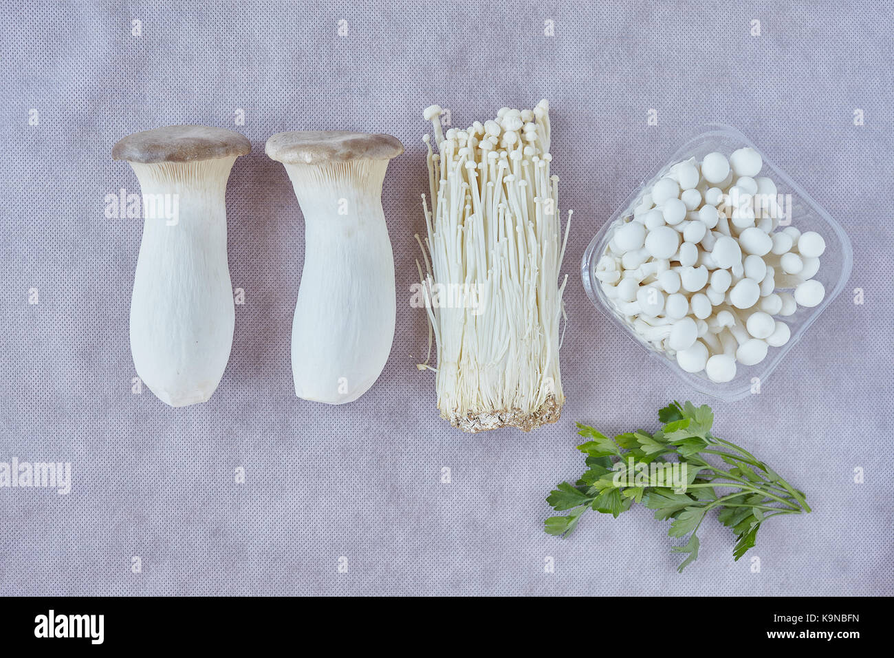 Champignons trompette King, appelé aussi champignon cor (Pleurotus eryngii), enokitake (enoki ou Colybie a) et blanc champignons shimeji (Hy Banque D'Images