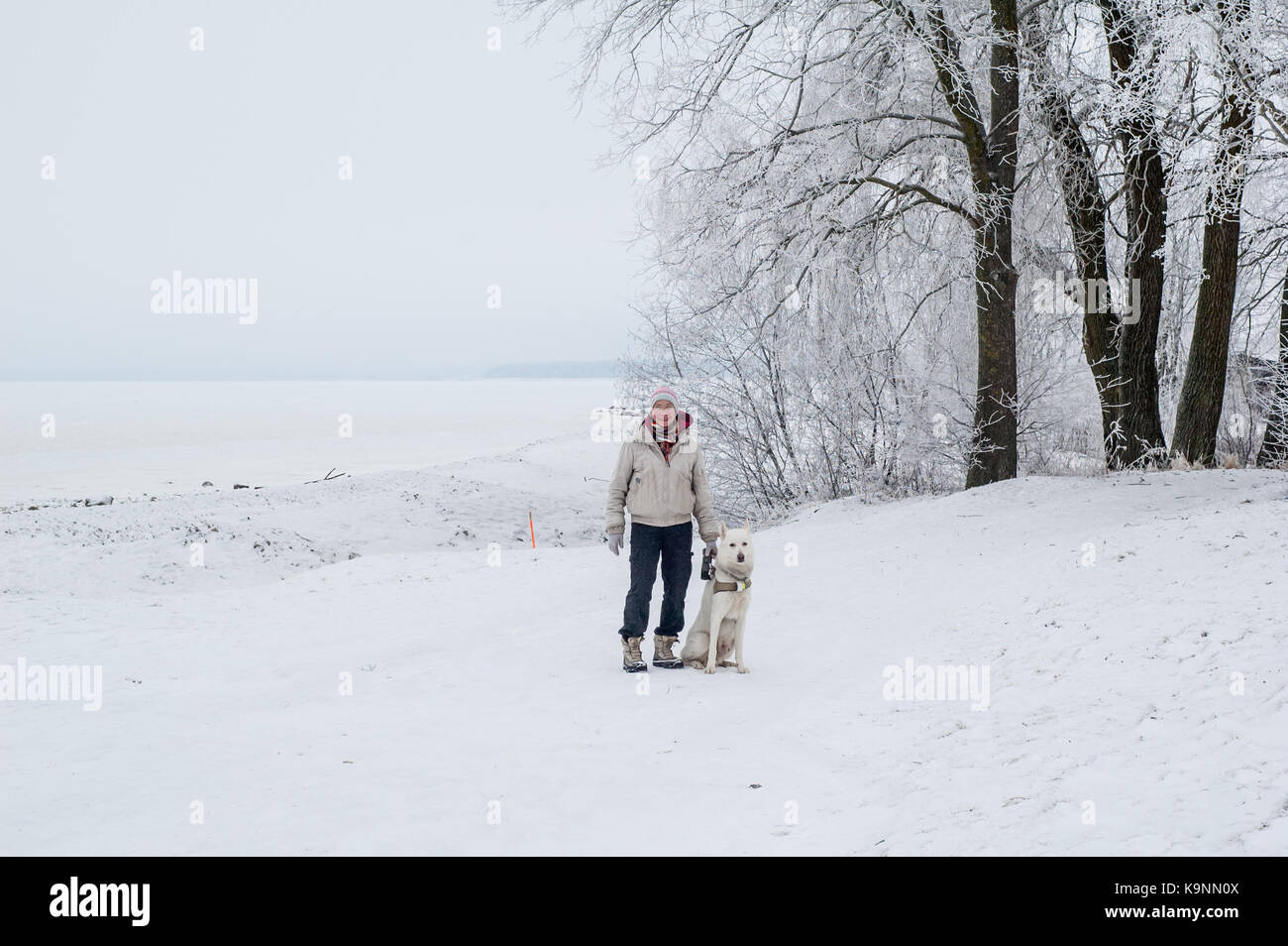 Femme marche avec un chien en hiver Banque D'Images